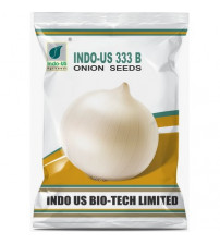 Onion Indo US 333 B (White)